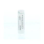 Homeoden Heel Plantago major D6 6 gram granules