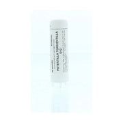 Homeoden Heel Potentilla tormentilla D12 6 gram granules
