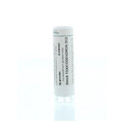 Homeoden Heel Rhus toxicodendron D12 6 gram granules