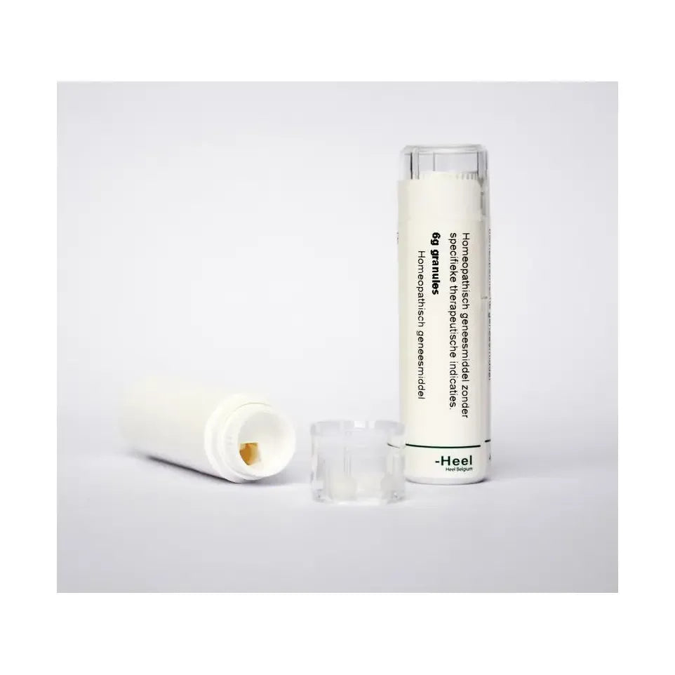 Homeoden Heel Saccharum officinalis/Placebo 6 gram granules