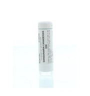 Homeoden Heel Sanguinaria canadensis D30 6 gram granules