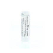 Homeoden Heel Sarothamnus scoparius D6 6 gram granules