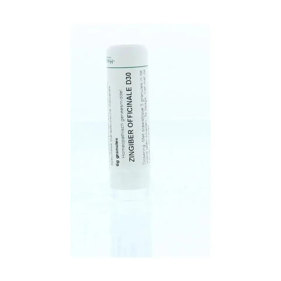 Homeoden Heel Zingiber officinalis D30 6 gram granules