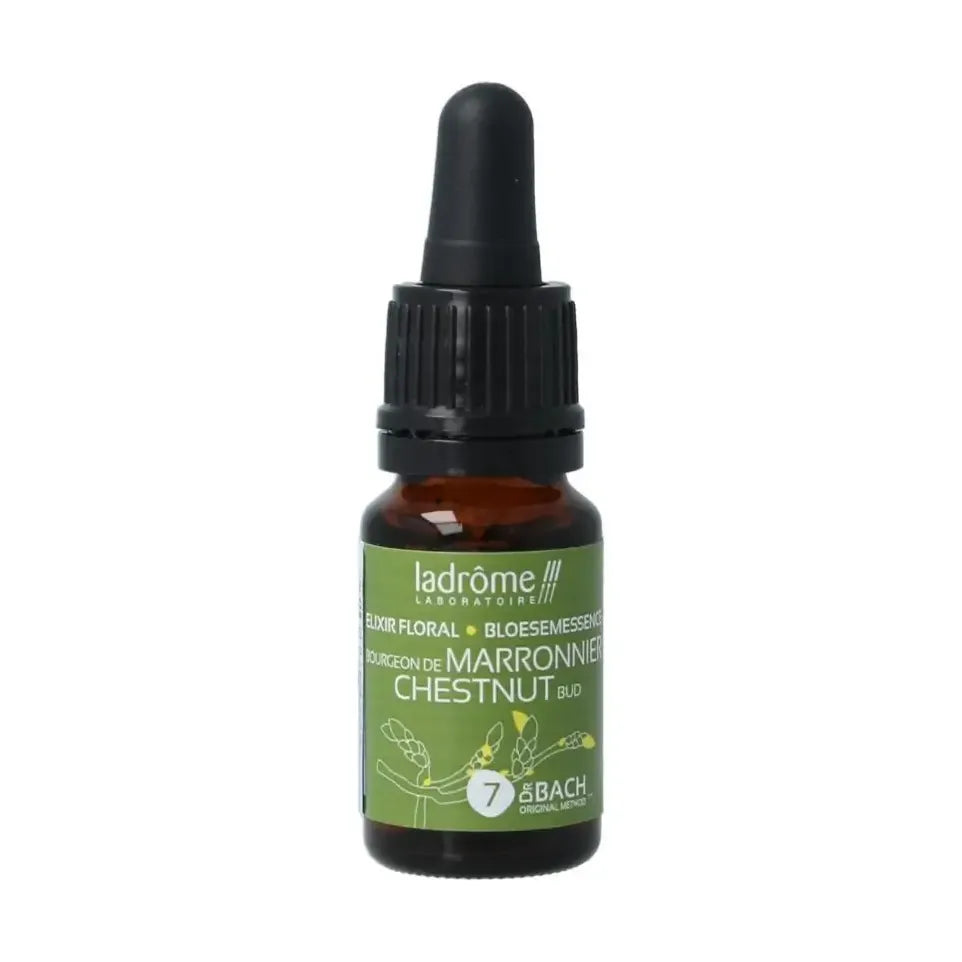 La Drome Chestnut bud biologisch 10 ml