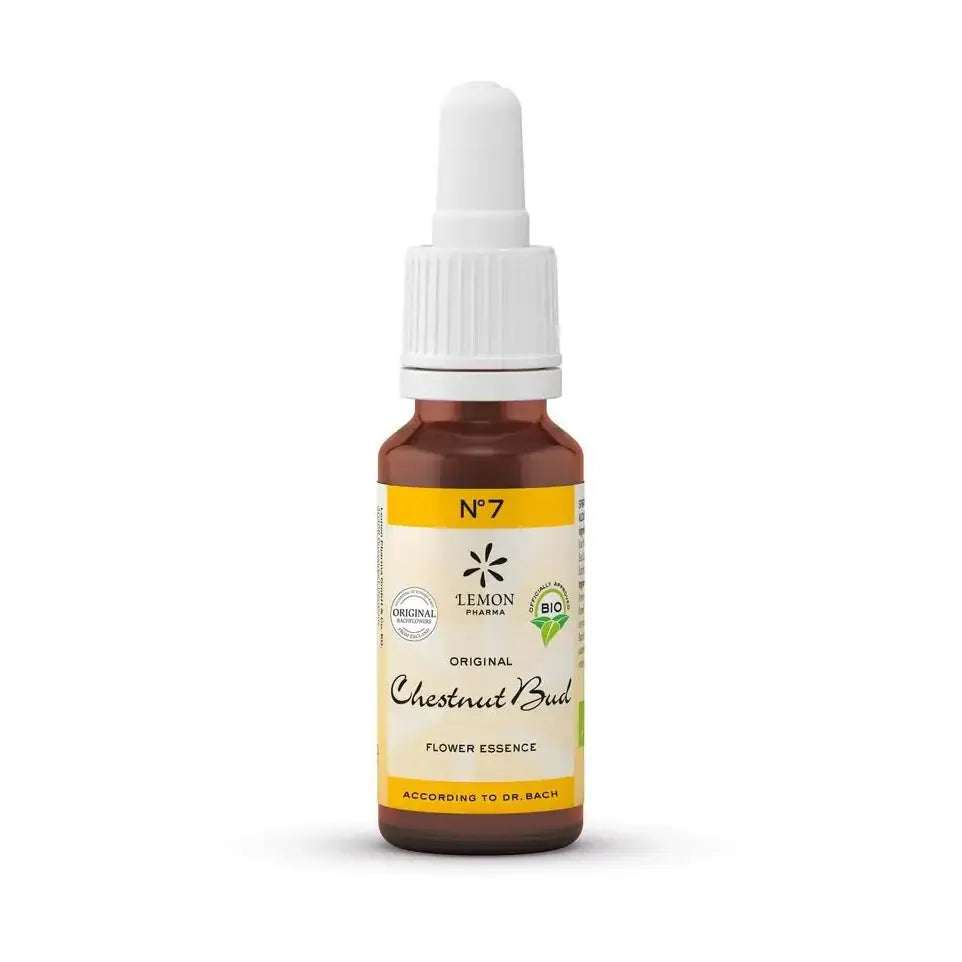 Lemon Pharma Bach bloesemremedies chestnut bud 20 ml