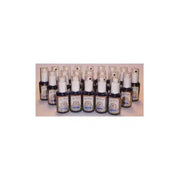 Lichtwesen Set tincturen 21 x 30 ml