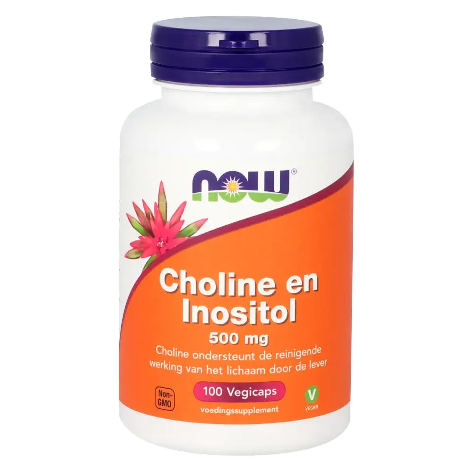 NOW Choline en inositol 500 mg 100 vcaps