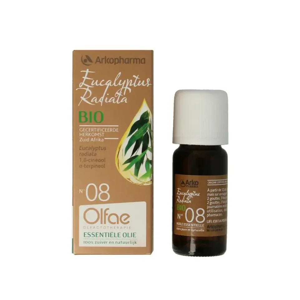 Olfae Eucalyptus radiata 08 10 ml