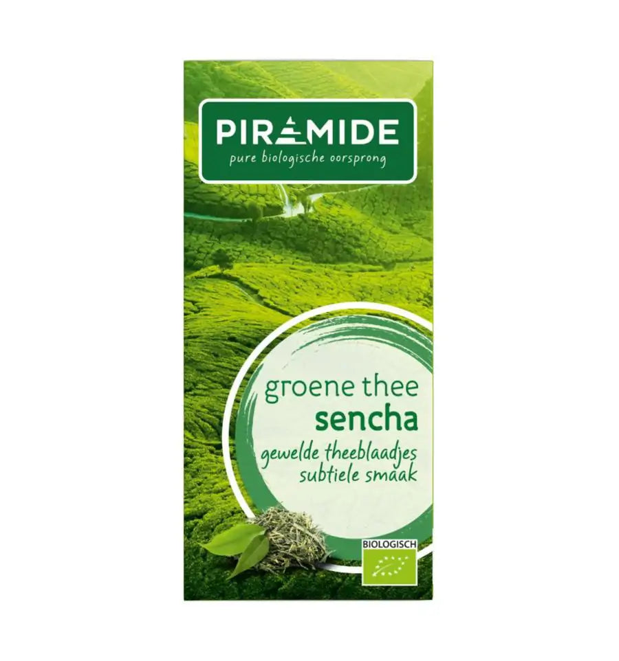 Piramide Groene thee sencha 20 zakjes