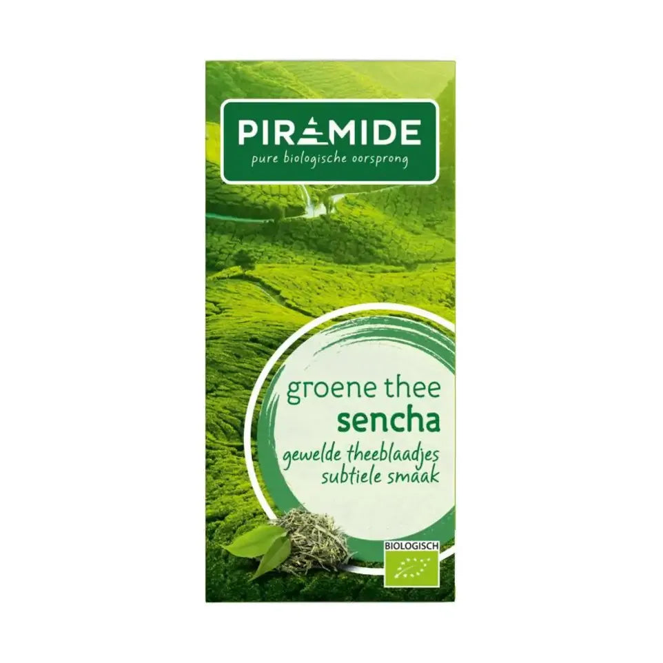 Piramide Groene thee sencha 20 zakjes