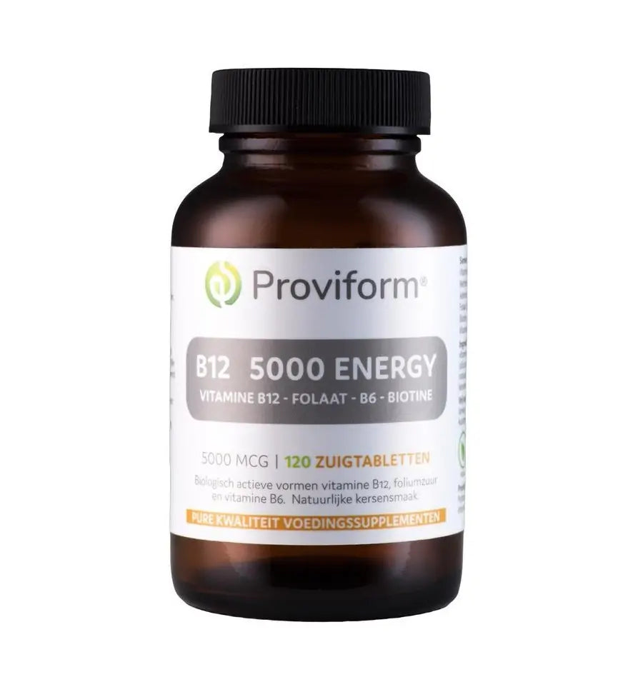 Proviform Vitamine B12 5000 mcg energy 120 smelttabletten