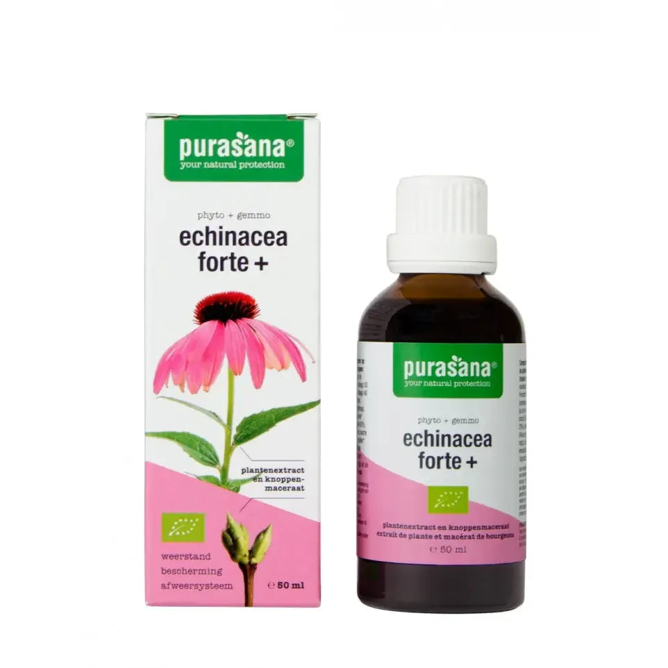 Purasana Echinacea forte + 50 ml (afbeelding 3)