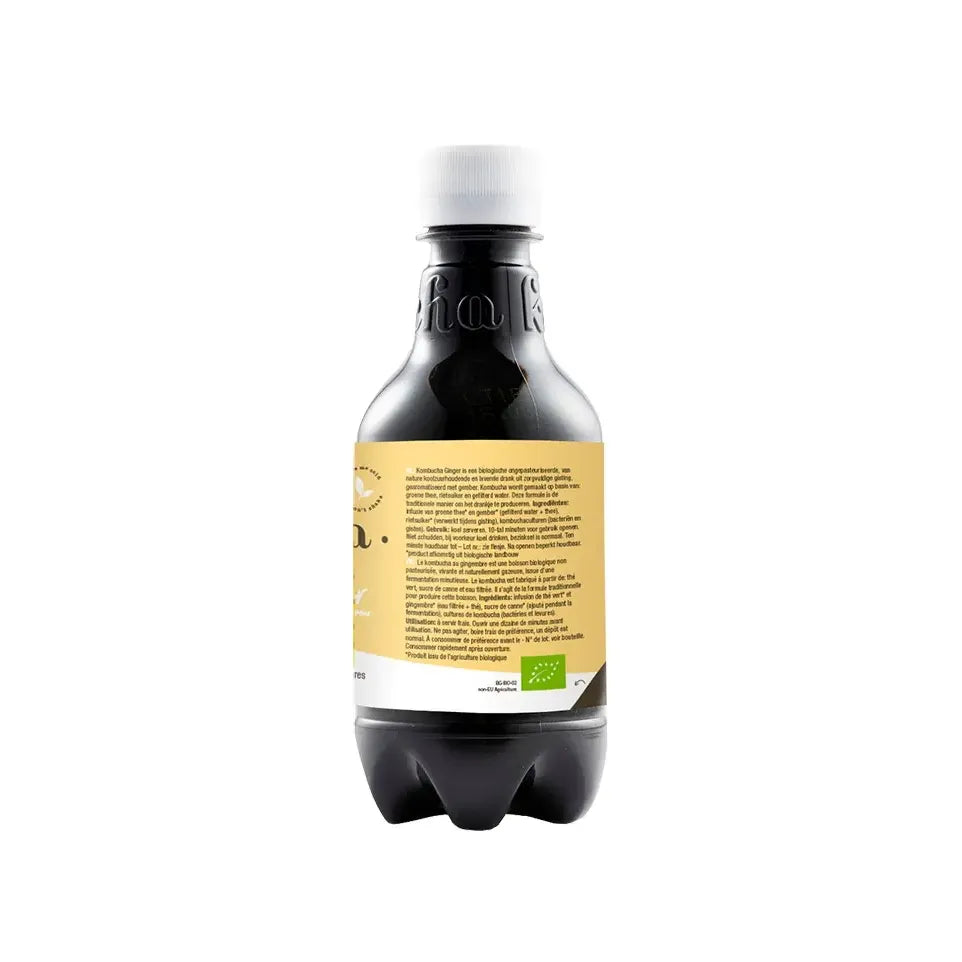 Purasana Kombucha drink gember 330 ml