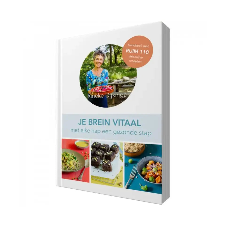 Rineke Books Je brein vitaal
