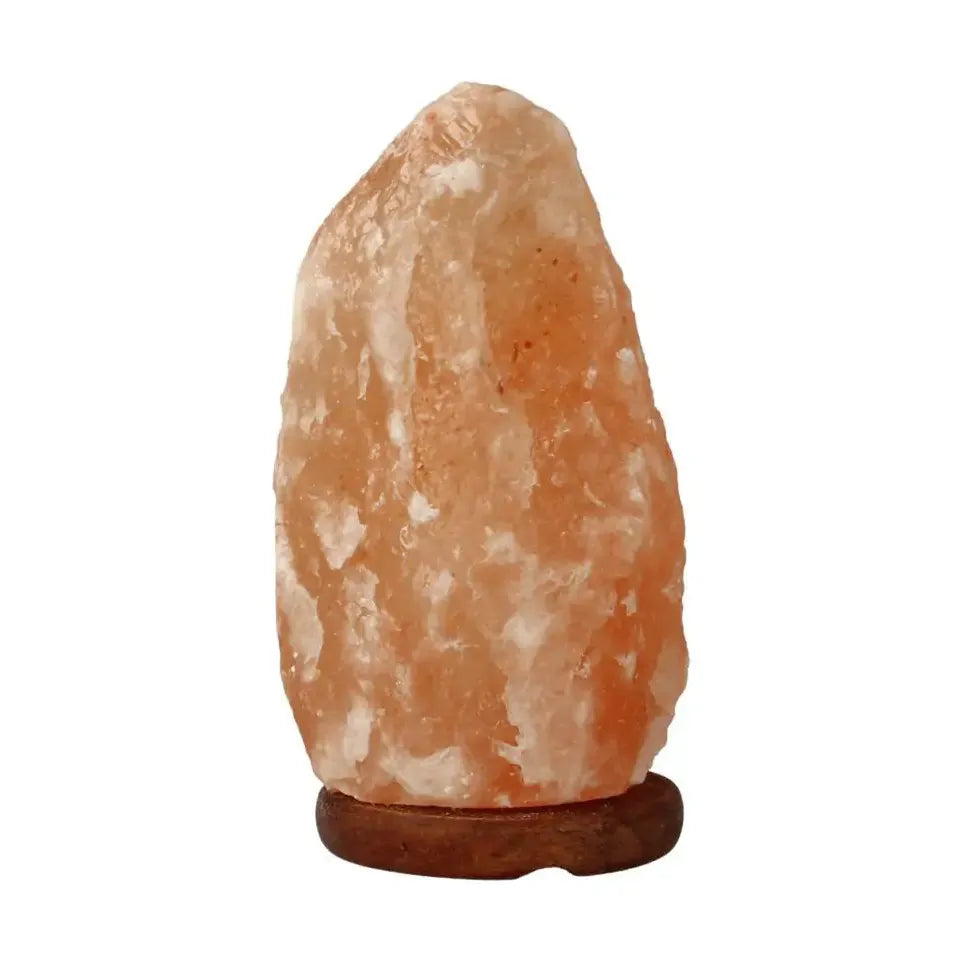 Ruben Robijn zoutsteenlamp 2-3kg