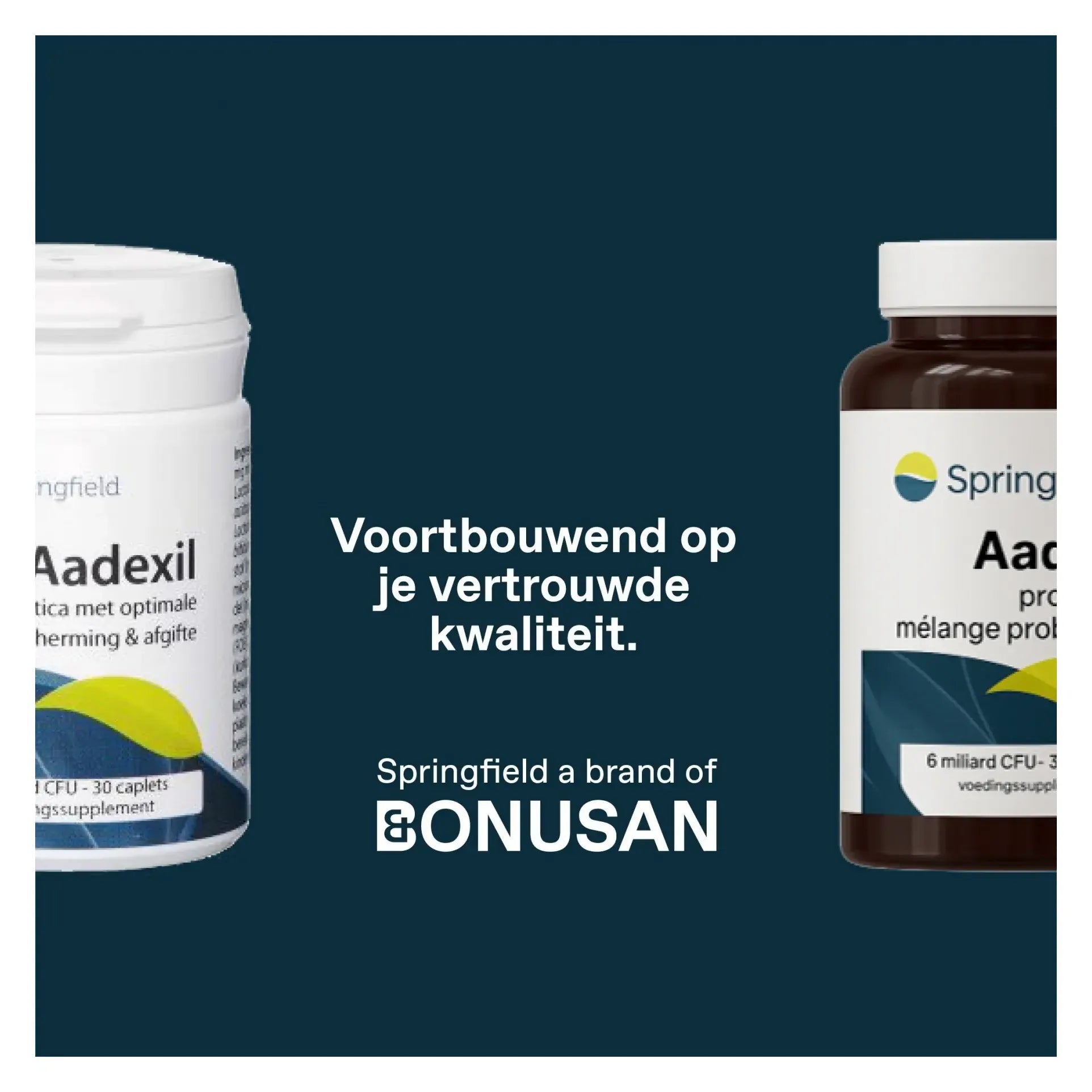Springfield Aadexil probiotica 6 miljard 90 capsules (afbeelding 2)