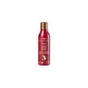 Surya Brasil Color Fixation Shampoo 250 ml