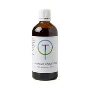 Therapeutenwinkel Lavendula angustfolia 100 ml