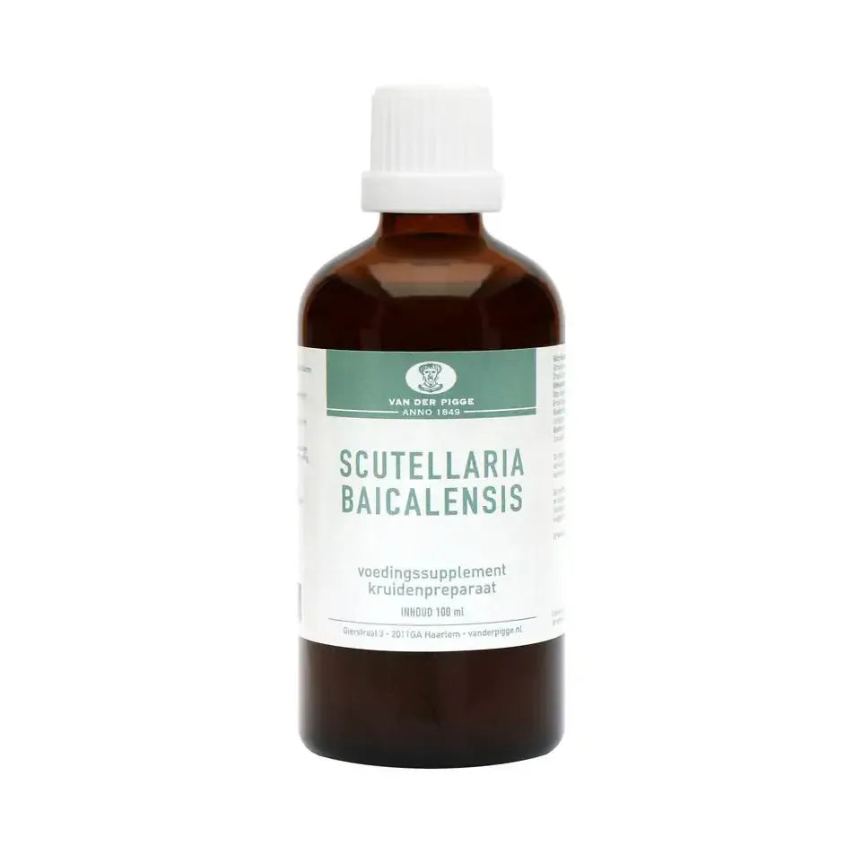 Van der Pigge Scutellaria baicelensis tinctuur 100 ml