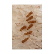 Van Vliet Kandijstokjes bruin doos 100 stuks