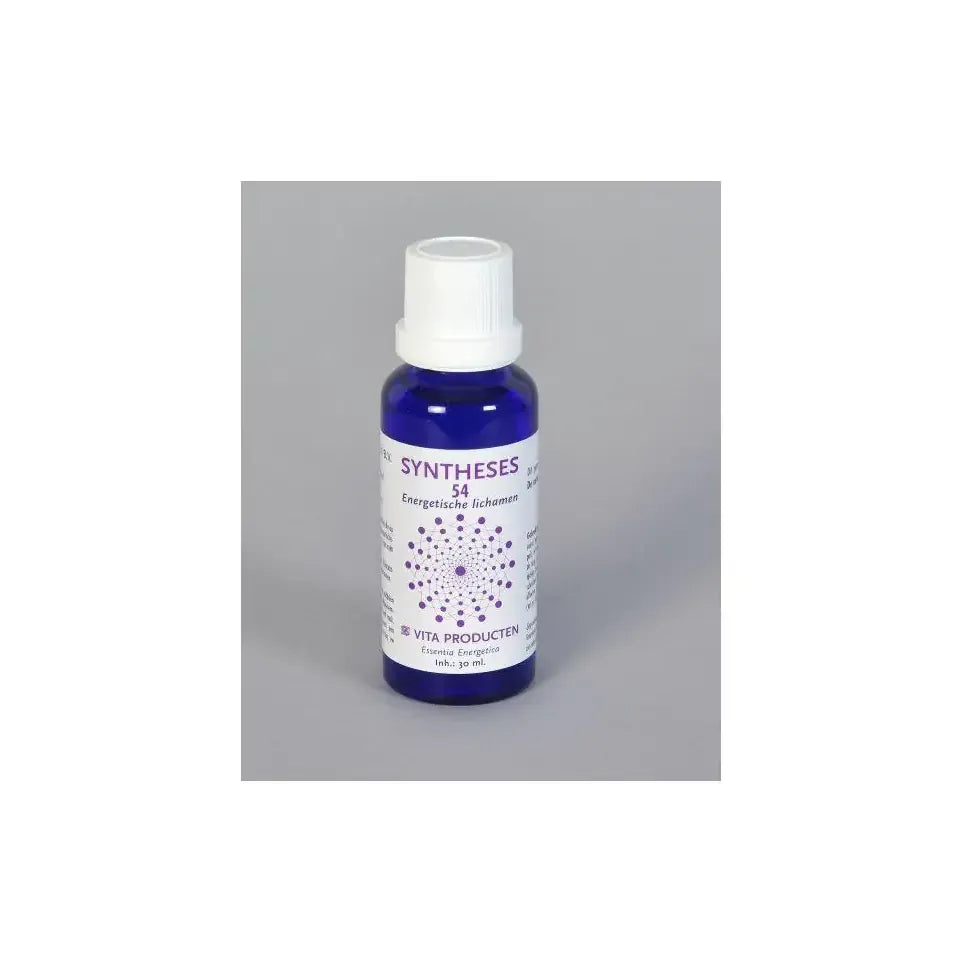 Vita Syntheses 54 energetische lichamen 30 ml