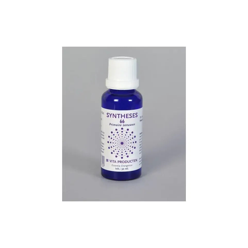 Vita Syntheses 66 primaire zenuwen 30 ml