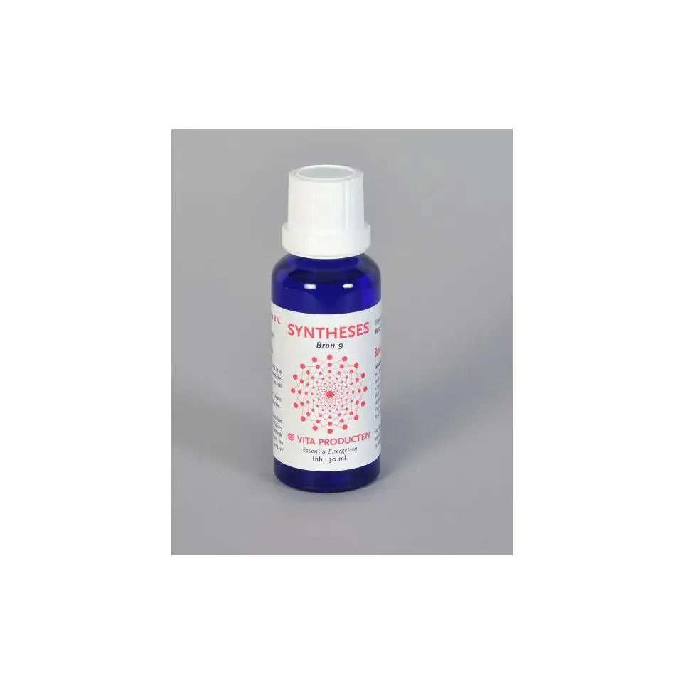 Vita Syntheses bron 9 metafysische energie 30 ml