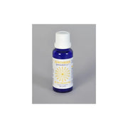 Vita Syntheses quantenbron -1 30 ml
