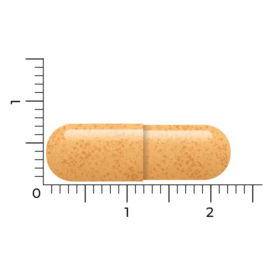 Vitakruid B-Complex actief 90 vcaps