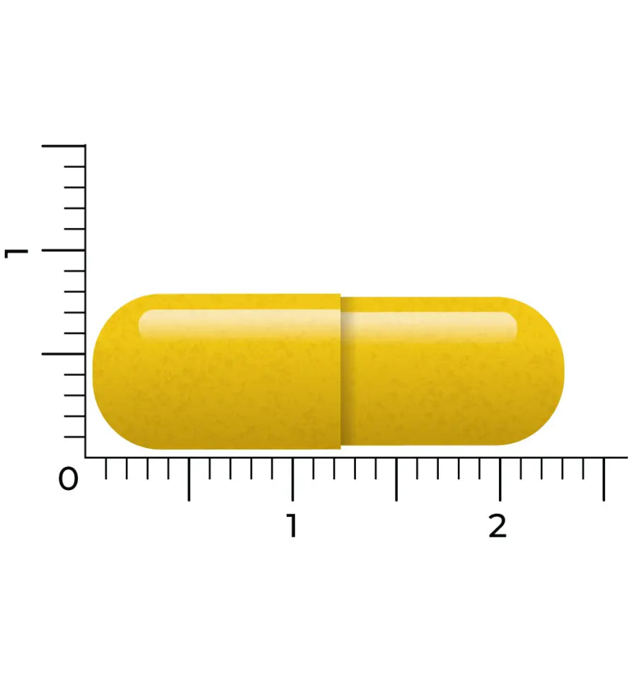 Vitakruid Berberine 60 vcaps (afbeelding 5)