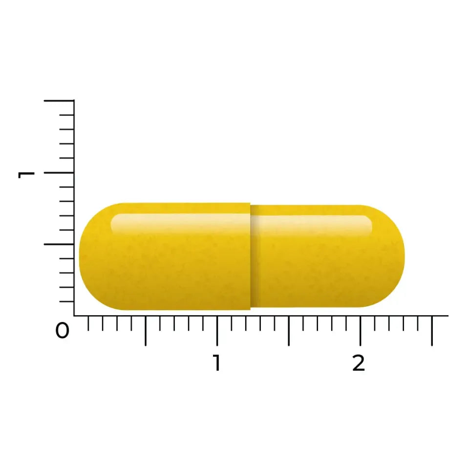 Vitakruid Berberine 60 vcaps (afbeelding 5)