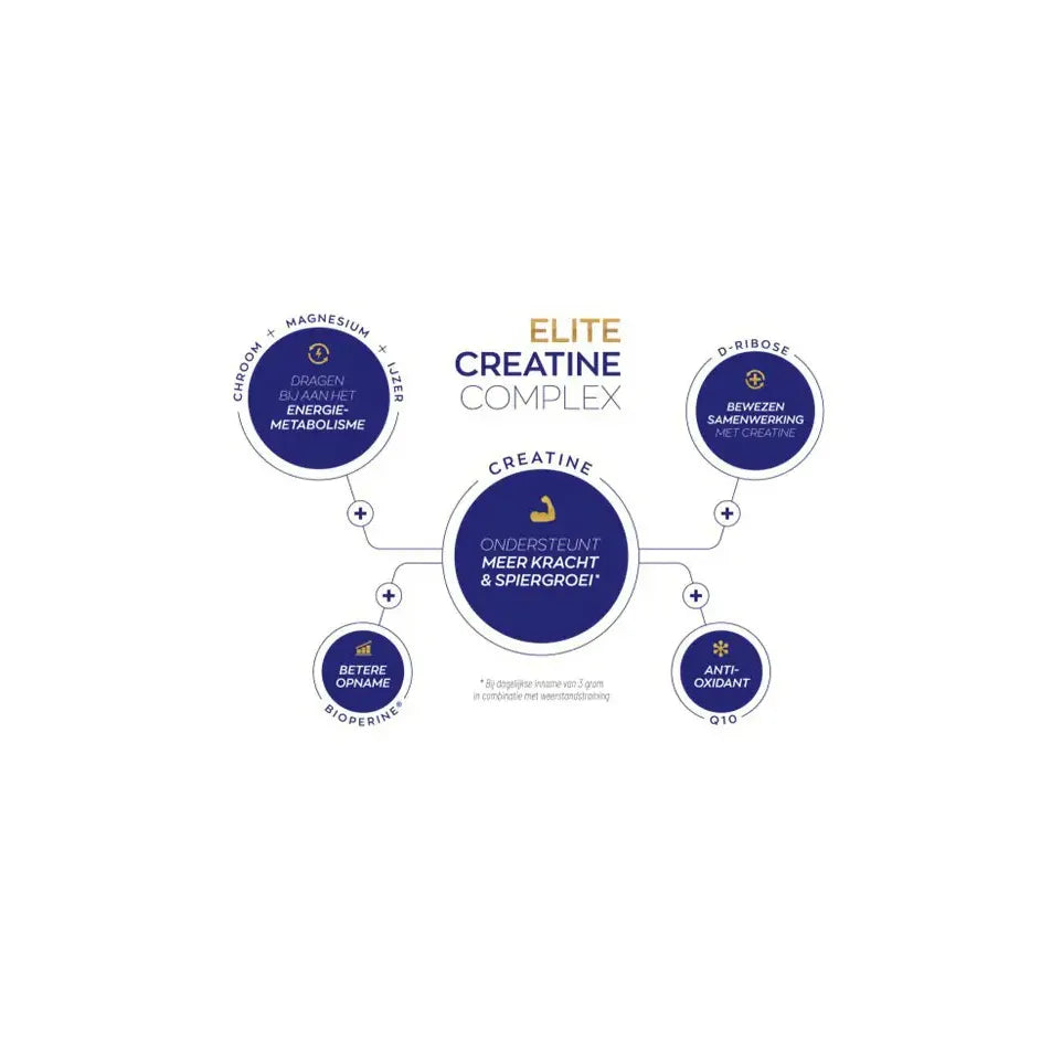 Vitakruid Elite Creatine Monohydraat 261 gram