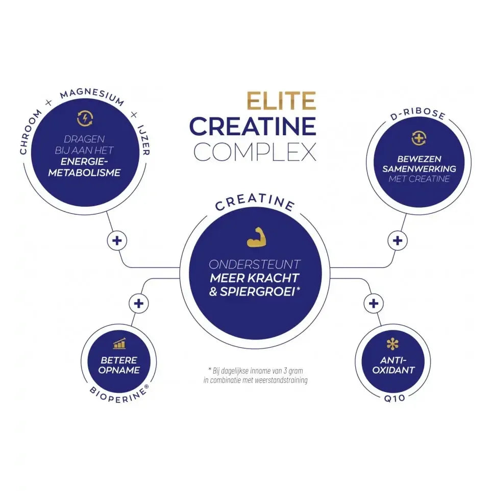 Vitakruid Elite creatine monohydraat complex tropical 315 gram