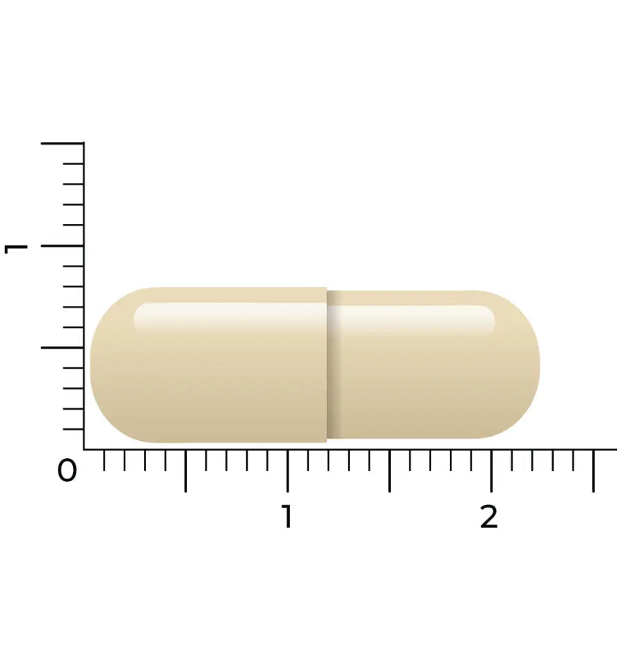 Vitakruid Gebufferde Vitamine C 90 vcaps (afbeelding 5)