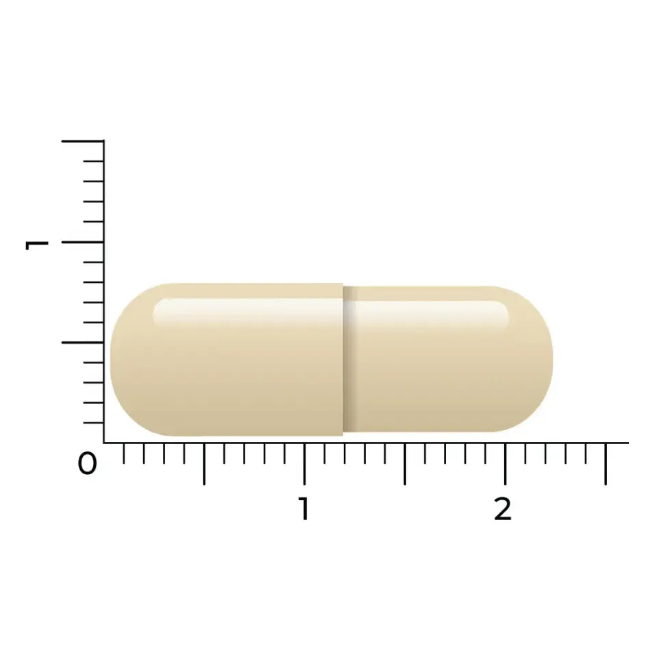 Vitakruid Geheugenformule 60 vcaps