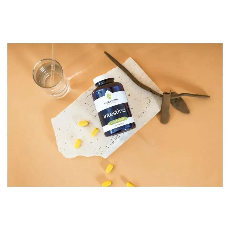 Vitakruid Intestina 120 tabletten