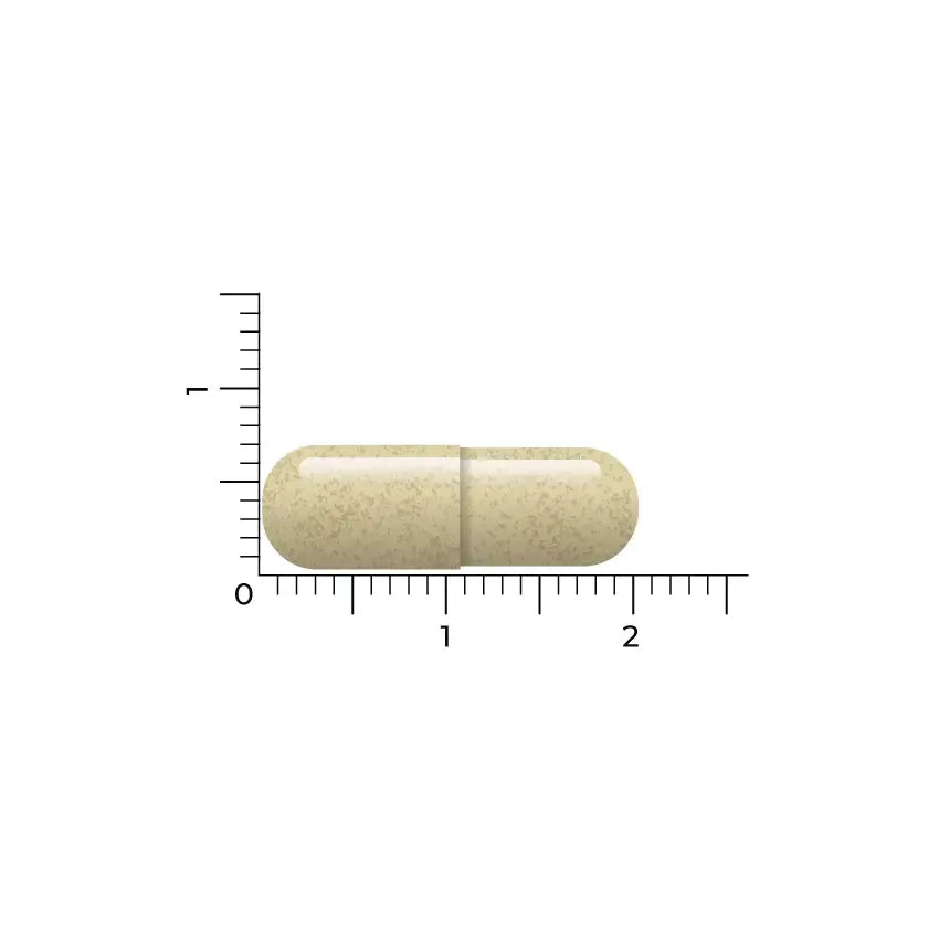 Vitakruid Monnikspeper 200 mg 60 vcaps
