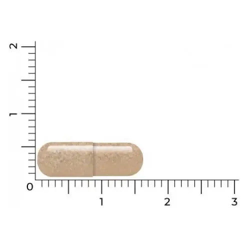 Vitakruid Mucuna Pruriens 60 vcaps