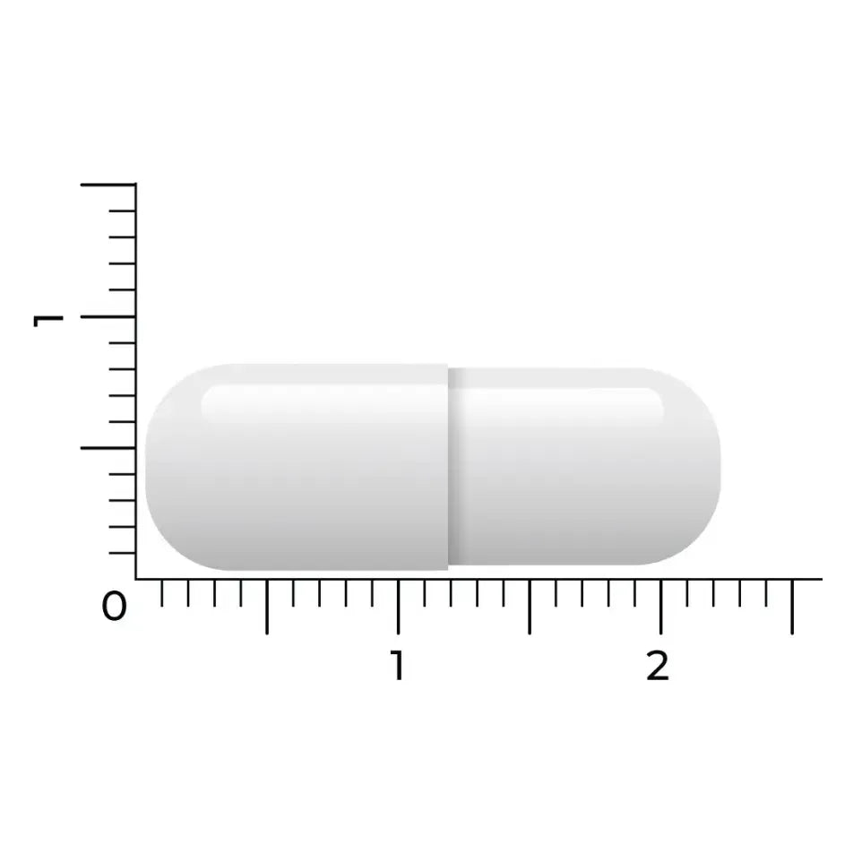 Vitakruid NAC 600 mg 60 vcaps (afbeelding 5)