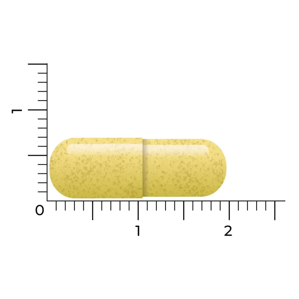 Vitakruid Quercetine 60 vcaps