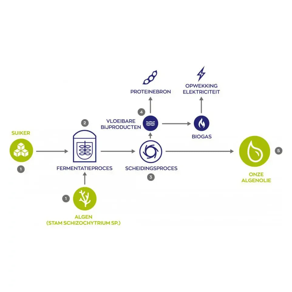 Vitakruid Vegan omega 3 1000 triglyceriden 300 DHA 100 EPA 90 softgels