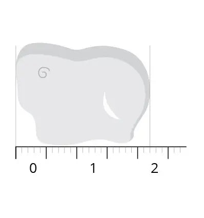 Vitals Elke dag junior 30 kauwtabletten (afbeelding 5)