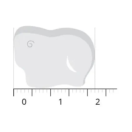 Vitals Elke dag junior 30 kauwtabletten (afbeelding 5)