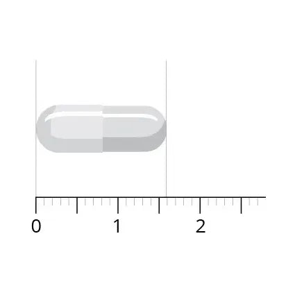 Vitals Vitamine B12 1000 mcg 100 capsules (afbeelding 5)