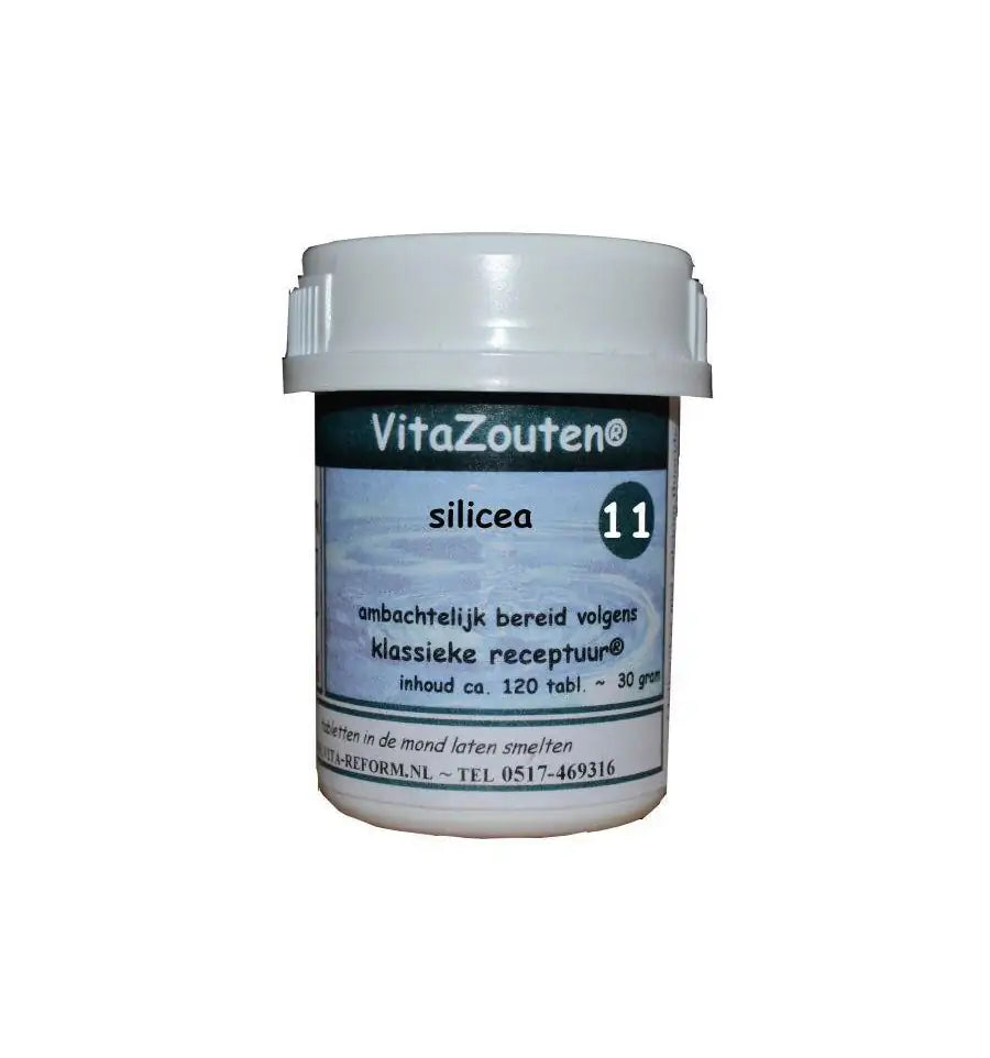 Vitazouten Silicea VitaZout Nr. 11 120 tabletten