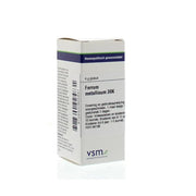 VSM Ferrum metallicum 30K 4 gram globuli