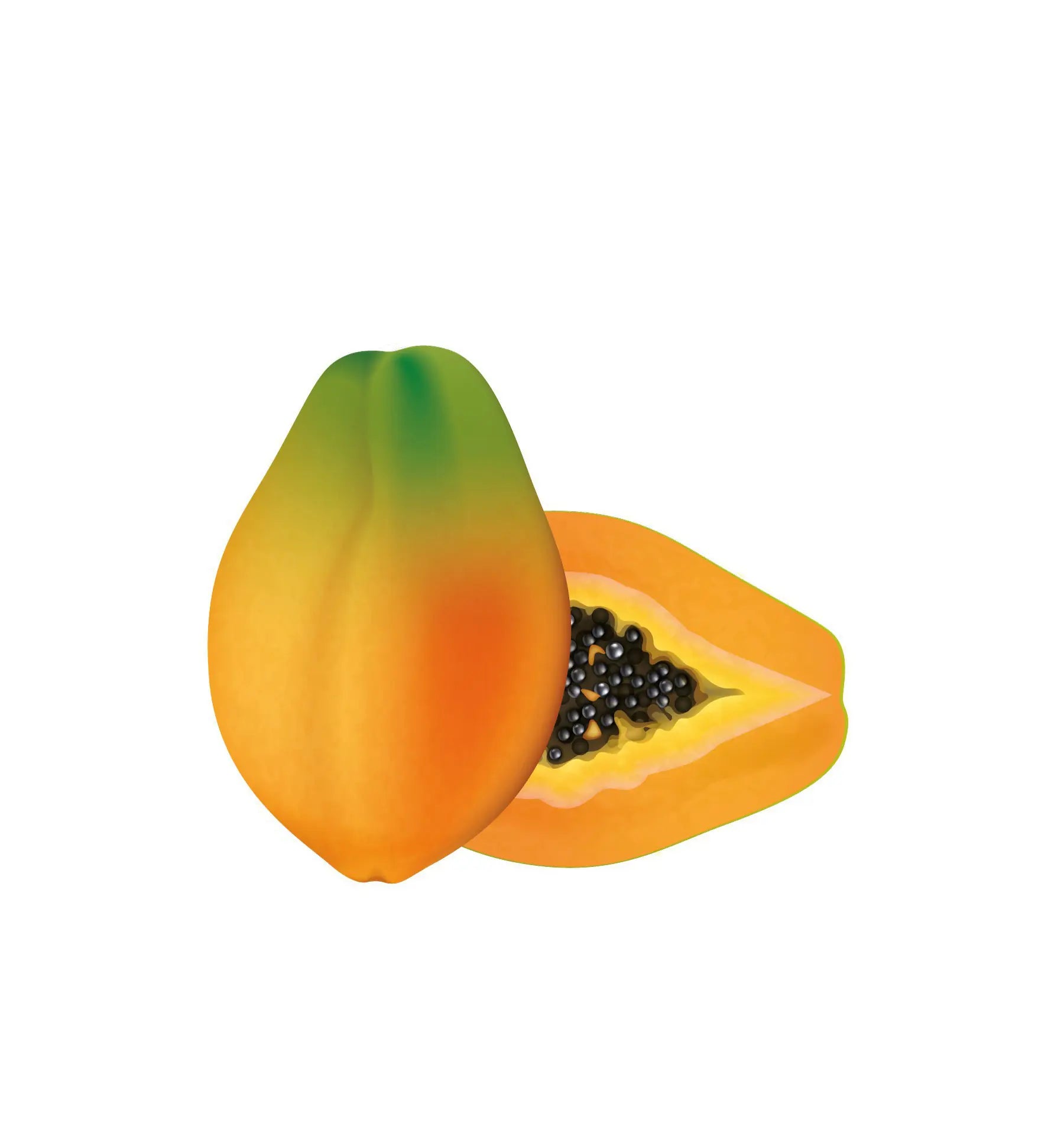 Wapiti Darmmild 20 dragees (afbeelding 2)