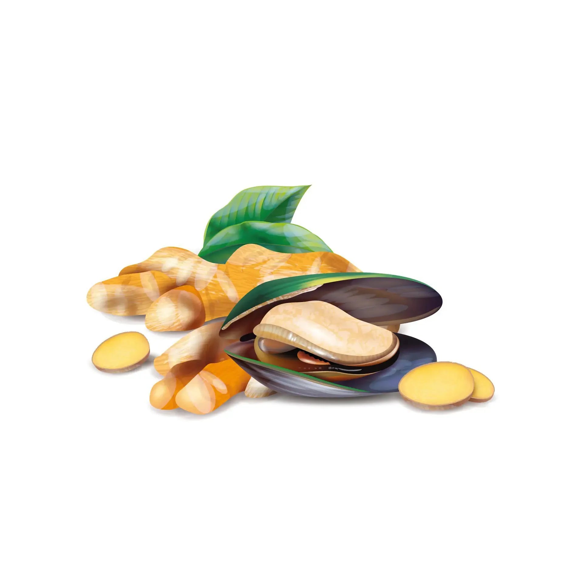 Wapiti Groenlipmossel & curcuma 60 capsules