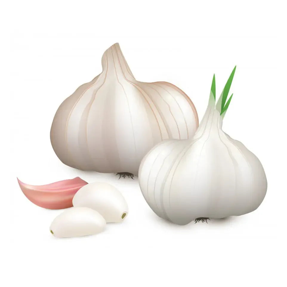 Wapiti Knoflook 2000 30 tabletten