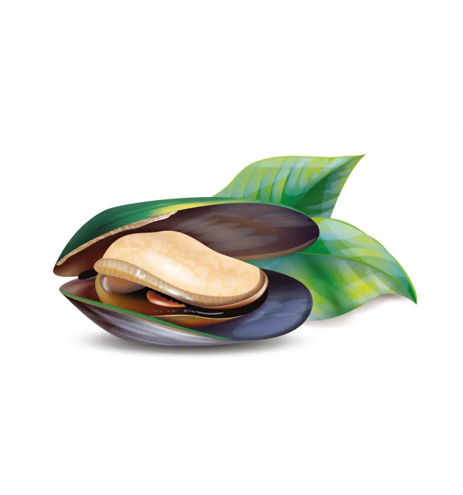 Wapiti Mossel extract 30 capsules (afbeelding 3)